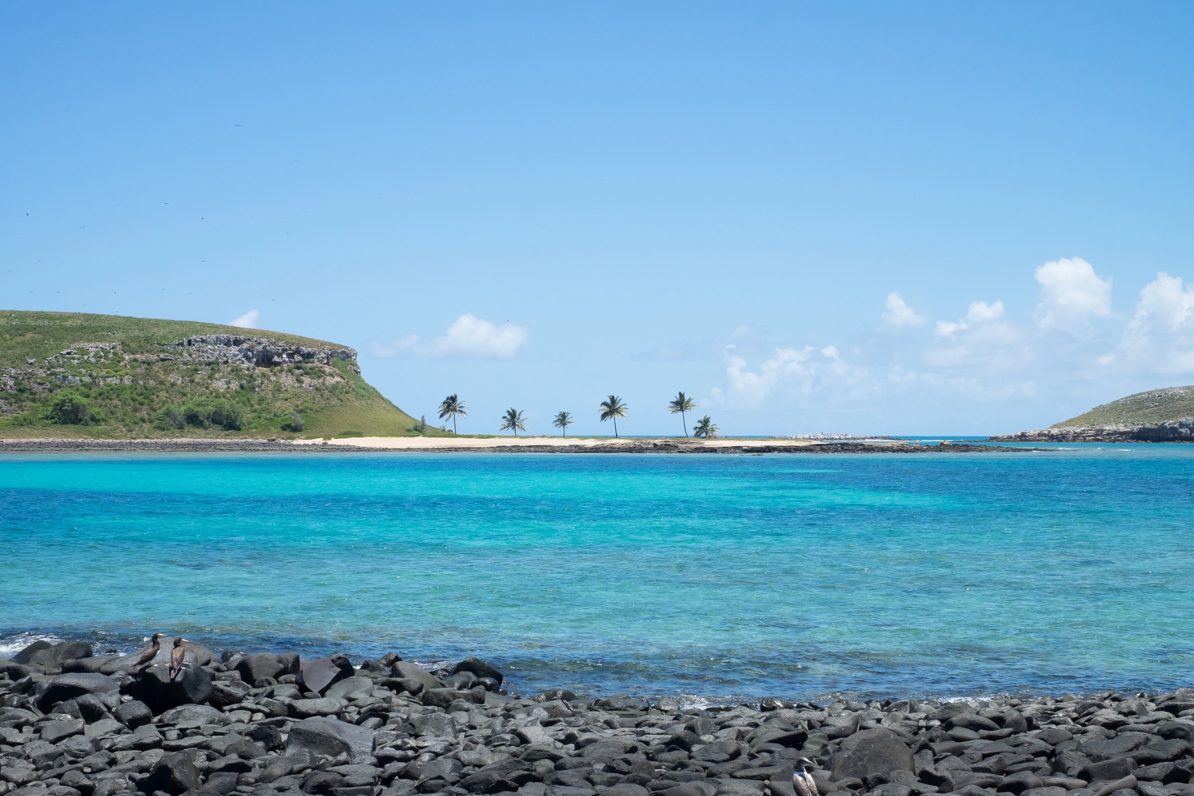 Abrolhos_Archipelago[1].webp